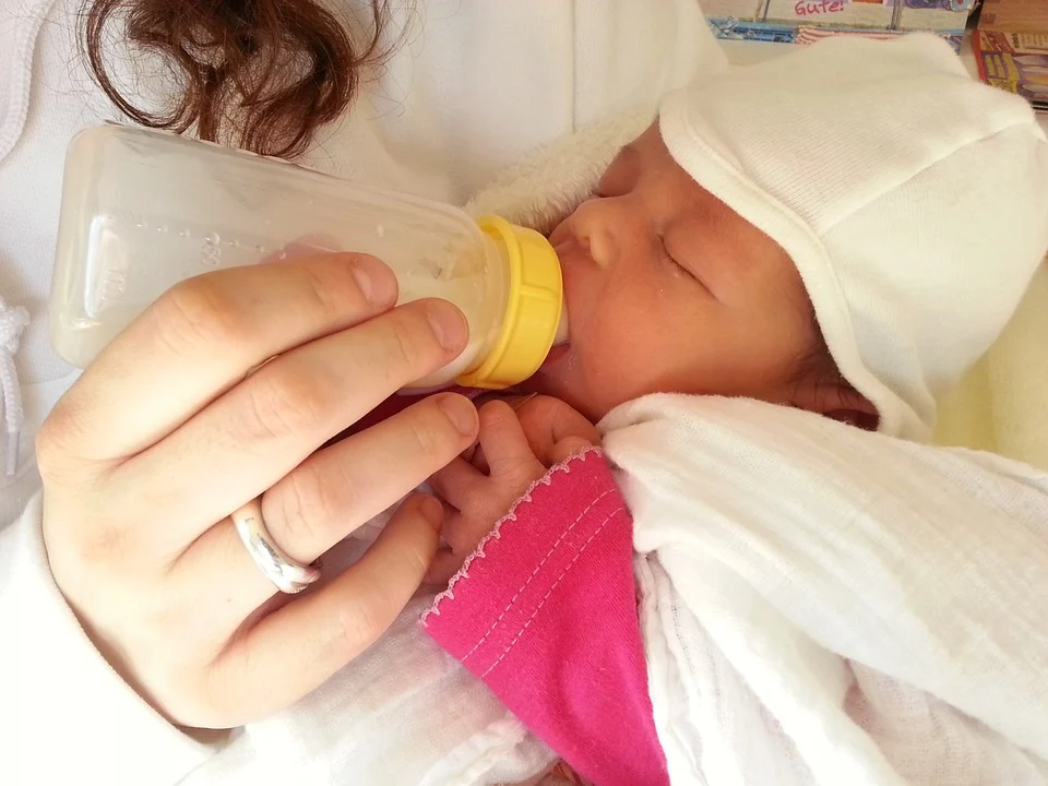 Baby Feeders: A purchasing guide for the development of a baby in a secure manner